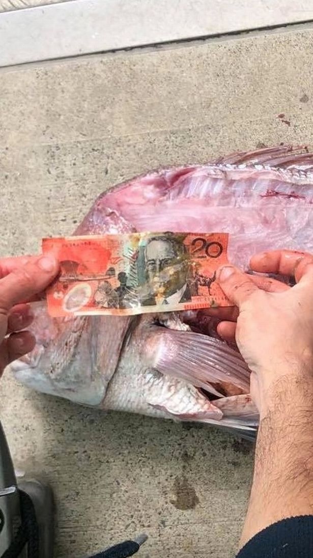 Tờ tiền 20 AUD vẫn còn nguyên như mới.