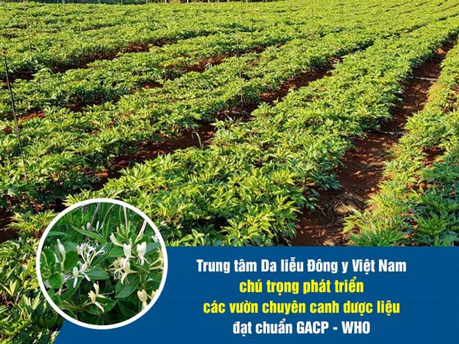 Bộ sản phẩm mụn trứng cá Hoàn Nguyên - giải pháp loại bỏ mụn từ thảo dược - 3