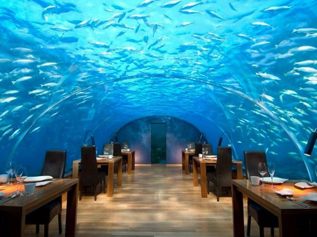 Ithaa Undersea, Maldives: Nhà hàng nằm dưới biển cách mặt nước gần 5m, nên du khách có thể chiêm ngưỡng cá bơi lội bên ngoài qua lớp kính trong suốt.
