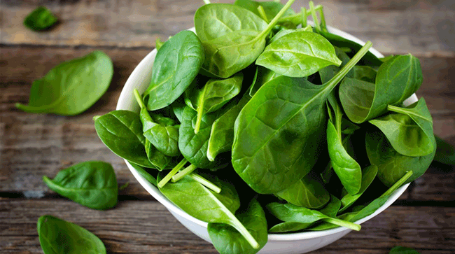 7. Rau bina: Rau bina rất giàu folate, một loại vitamin được tìm thấy để giảm nguy cơ ung thư phổi. Ngoài việc giảm ung thư, folate có thể đóng vai trò ngăn ngừa huyết áp cao. Rau bina cũng rất giàu chất dinh dưỡng lutein, một hợp chất chống ung thư phổi khác. Lutein hoạt động như một chất chống oxy hóa trong cơ thể, chống lại các gốc tự do được tạo ra bởi các chất gây ung thư.

