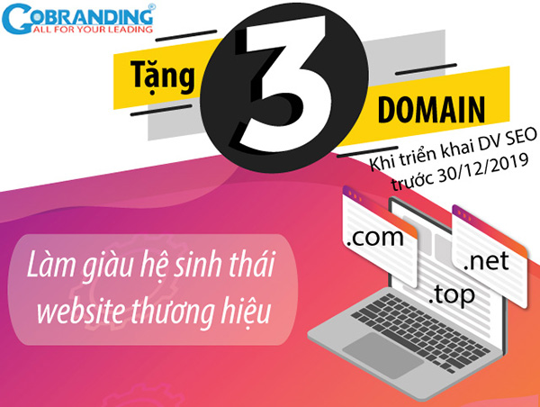 GOBRANDING tặng top 3 tên miền cho khách triển khai dịch vụ SEO tháng 12 - 1