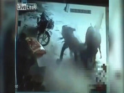 Phi thường - kỳ quặc - Video: Bò nổi điên tấn công 2 kẻ cầm dao đâm thiếu nữ trẻ