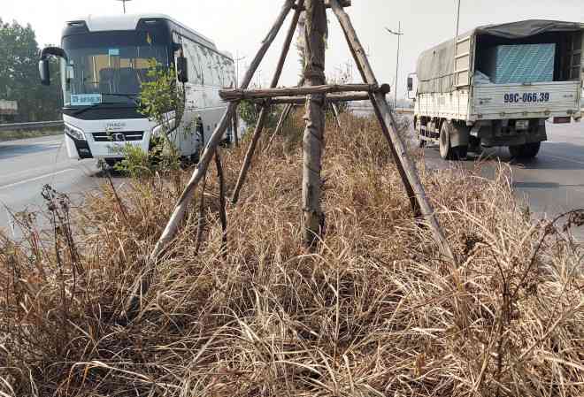 Hiện tượng cỏ, cây xanh chết bắt đầu từ điểm vào QL18 gần sân bay Nội Bài (Hà Nội) đến Khu công nghiệp Yên Phong, Bắc Ninh, kéo dài hàng chục km.