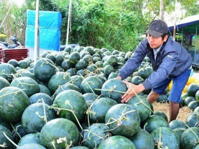 Kinh doanh - Trung Quốc là đối tác thương mại “trăm tỷ USD” duy nhất của Việt Nam