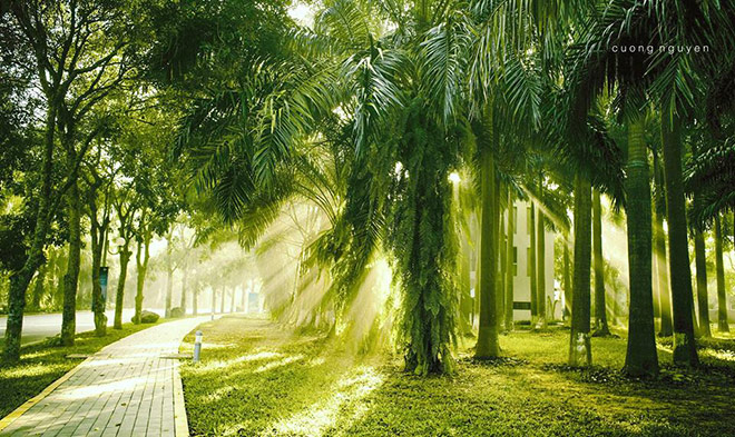 Các dự án có không gian xanh, được quy hoạch đồng bộ, bài bản
đang được nhiều khách hàng quan tâm nhất hiện nay