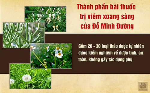 Chữa viêm xoang sàng không kháng sinh bằng thuốc Nam Đỗ Minh Đường - 2
