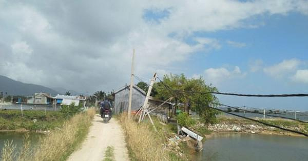 Kinh doanh - Bài học đắng từ sốt đất Vân Phong