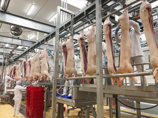 Giá thịt lợn đã ở mức cao kỷ lục trong 10 năm qua - 1