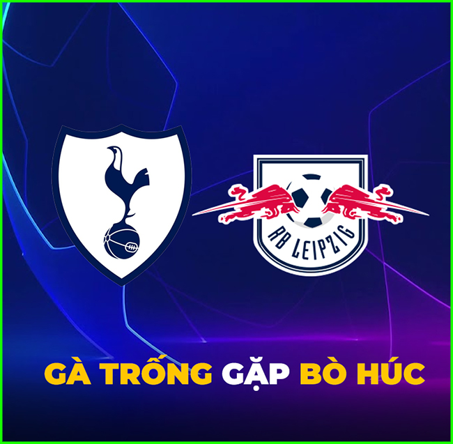 &#34;Bò húc Gà trống&#34; không biết ai chiến thắng.