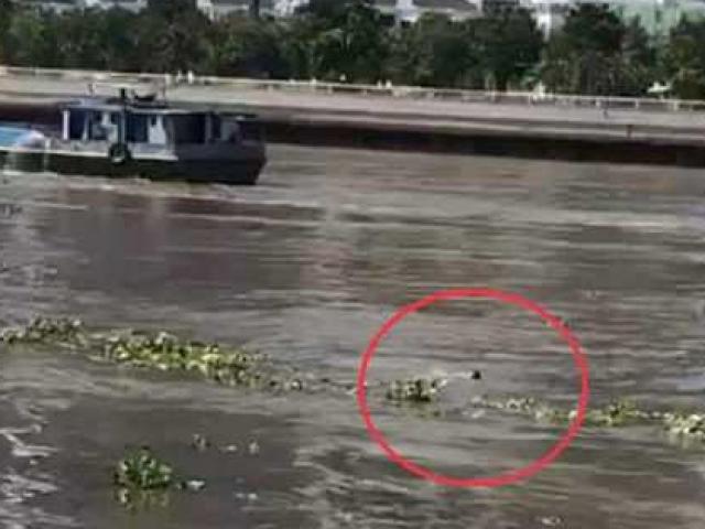 Tin tức trong ngày - Nhảy từ cầu xuống sông Sài Gòn, thanh niên bơi cả trăm mét vào bờ