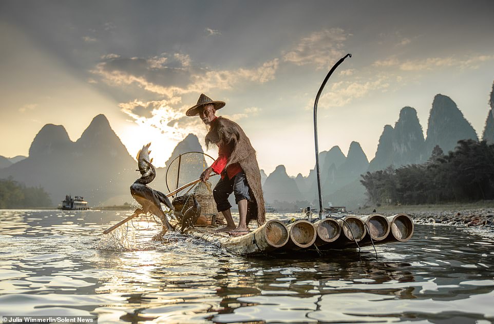 Ngư dân Trung Quốc dùng chim cốc để bắt cá.