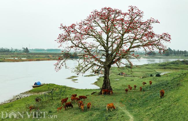 Những hình ảnh tuyệt đẹp về phong cảnh, thiên nhiên Việt Nam - 9