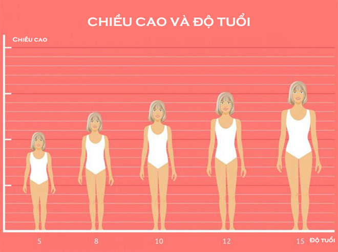 Từ 8 tuổi, kích thước xương và mật độ chất khoáng ở xương tăng lên khoảng 4%/năm.