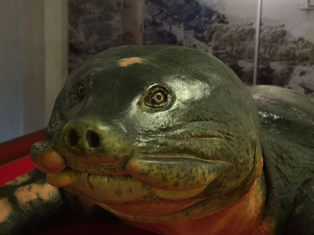 Tin tức trong ngày - Chuyện chưa kể về chế tác "cụ rùa" Hồ Gươm cuối cùng