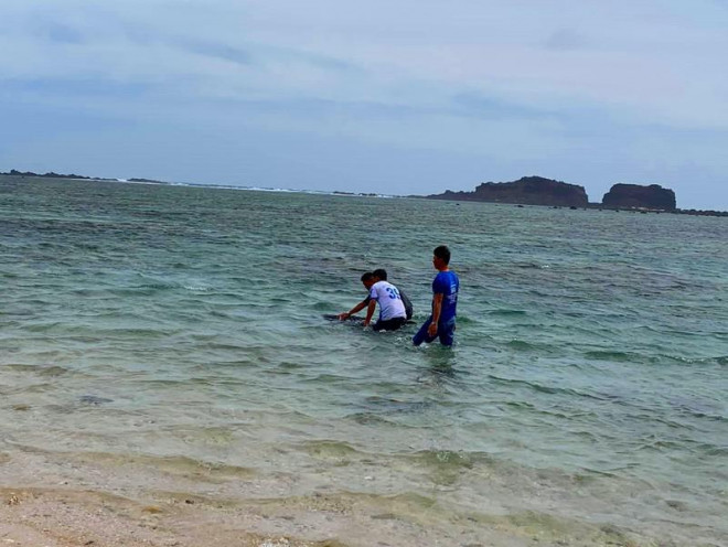 Dân tổ chức hát chèo để cá bà chuông về lại biển mà bất thành - 1