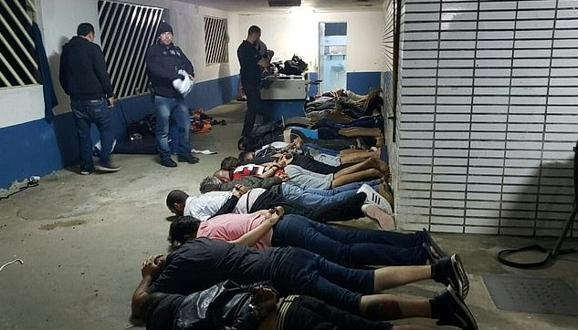 41 người bị cánh sát Brazil bắt giữ tại nơi chọi chó.