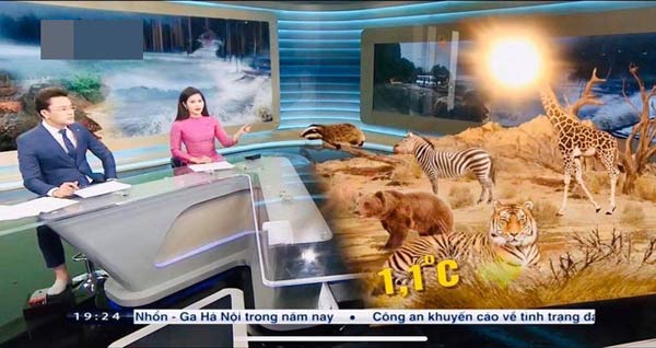 Hình ảnh BTV Hữu Bằng đi chân đất trên sóng truyền hình.