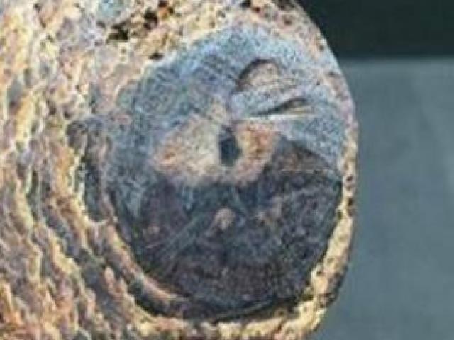 Thị trường - Tiêu dùng - Những loại hương liệu "cắt cổ" nhất thế giới, đại diện Việt Nam cũng góp mặt