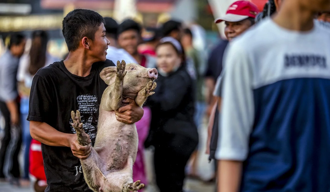 Thịt lợn là một trong những món ăn chính trong chế độ ăn của người Hong Kong (Nguồn: SCMP)