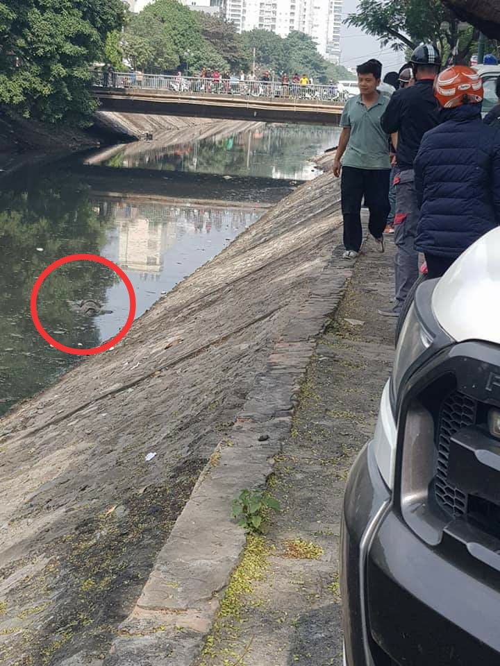 Hiện trường nơi phát hiện thi thể nam thanh niên.