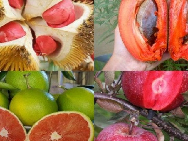 Ẩm thực - Những loại quả ruột đỏ khiến chị em "chao đảo" ngay khi xuất hiện
