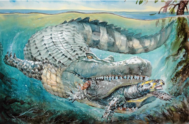 Purussaurus mirandai là loài cá sấu lớn nhất thế giới với&nbsp;cân nặng tới 3 tấn và dài bằng một chiếc xe buýt (Hình minh họa)