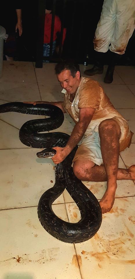 Sau 6 tiếng, con trăn dài hơn 4m, nặng 33 kg bị tóm gọn