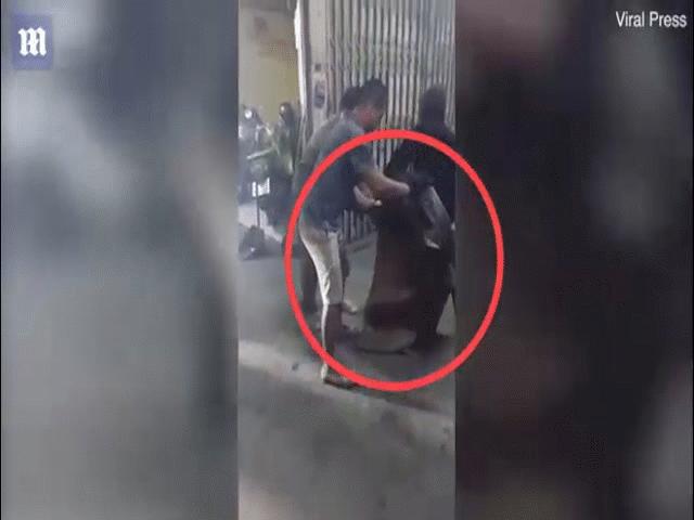 Phi thường - kỳ quặc - Video: Chật vật bắt trăn "khủng" 4,8m mò vào nhà ăn thịt mèo