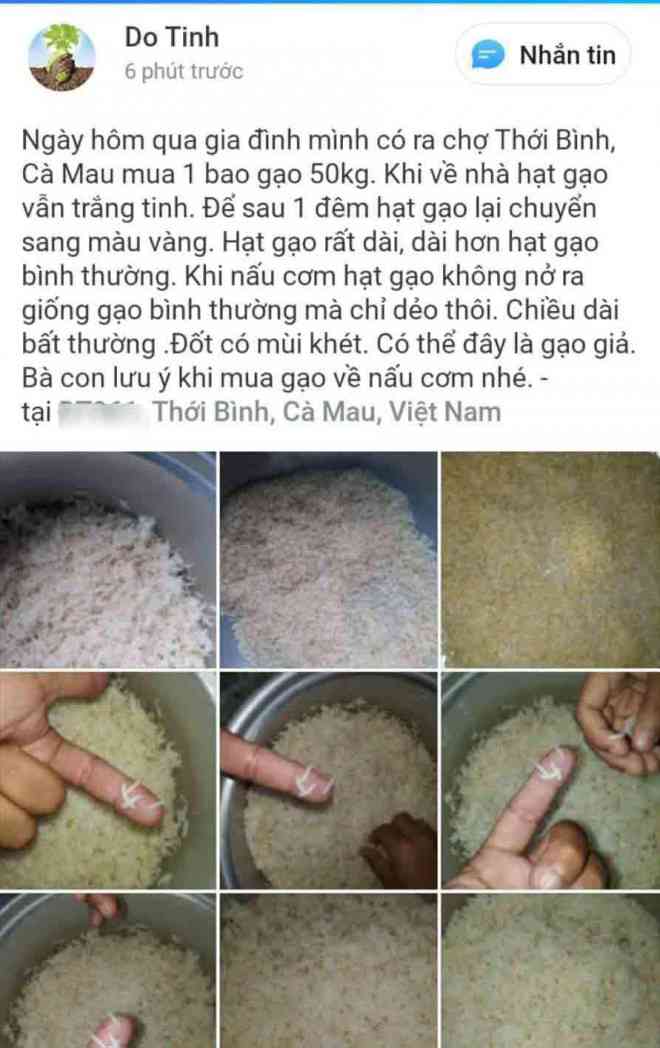 Tài khoản đăng thông tin gạo giả
