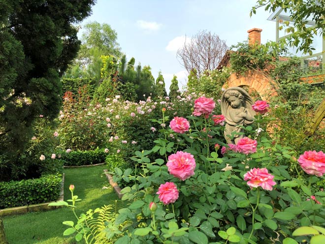 Vũ Garden sở hữu hơn 200 chủng loại hoa hồng trong và ngoài nước