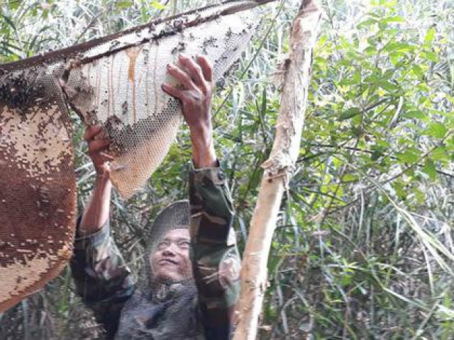 Tin tức trong ngày - 2 nghề độc ở Cà Mau được công nhận di sản văn hóa phi vật thể quốc gia