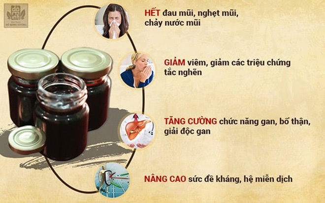 Thầy thuốc Đỗ Minh Tuấn giúp bạn “nói không” với viêm mũi dị ứng thời tiết - 4