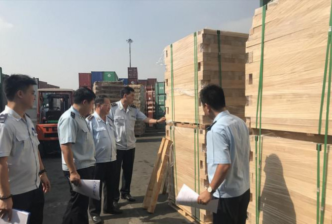 Hải quan TPHCM kiểm tra container gỗ vi phạm.