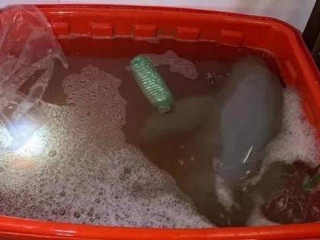 Thị trường - Tiêu dùng - Chi 3 triệu mua cá "cười" với mình ở chợ, người đàn ông tá hỏa khi biết sự thật