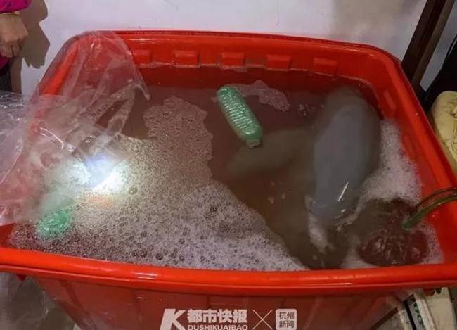 Một người đàn ông ở Ôn Châu, Trung Quốc đã chi 1.000 nhân dân tệ (~3,3 triệu đồng) để mua một con cá ở chợ địa phương. Người mua tên Chen cho hay, lúc ở đó ông nhìn thấy con cá "cười" với mình. 