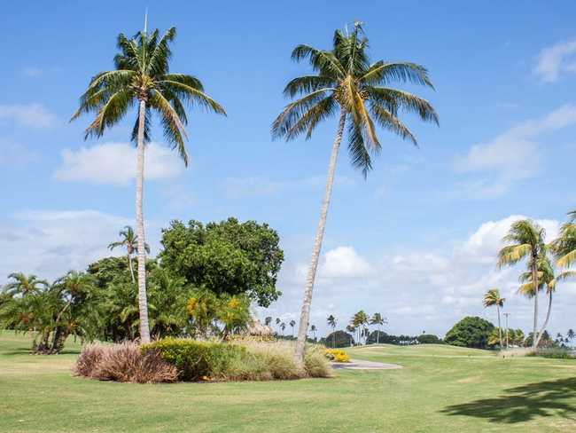 Một sân golf 18 lỗ nguyên sơ trải dài giữa trung tâm đảo. Sân golf tại đây là một trong những sân golf hàng đầu ở Florida, theo trang web Top 100 sân golf tốt nhất thế giới.