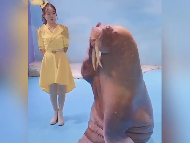 Video Clip Cười - Nhạc nào cũng "quẩy" được hết nhé các thím