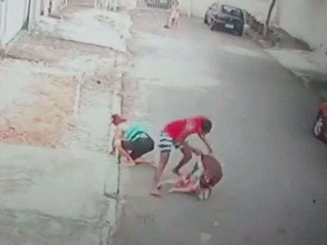 Bạn trẻ - Cuộc sống - Nam thanh niên liều mình cướp bé trai 4 tuổi khỏi mõm pitbull