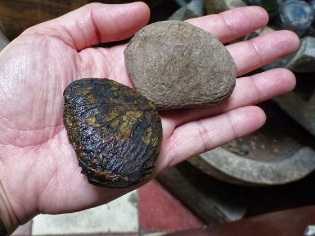 Thị trường - Tiêu dùng - Thứ ăn ngay có thể chết, luộc rồi vùi tro 40 ngày thành đặc sản bán gần nửa triệu