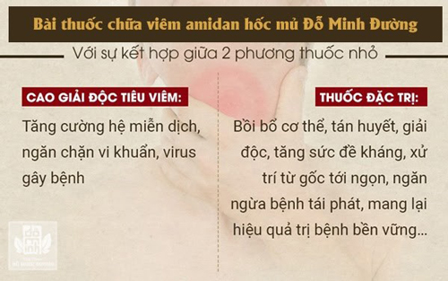 Chẳng cần phẫu thuật cũng khỏi viêm amidan hốc mủ nhờ thuốc nam Đỗ Minh Đường - 3