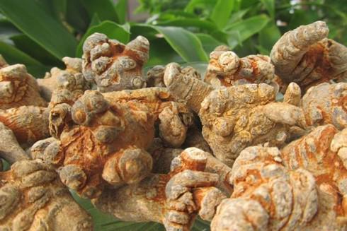 Thực hư nam giới dùng tam thất gây yếu sinh lý? - 1