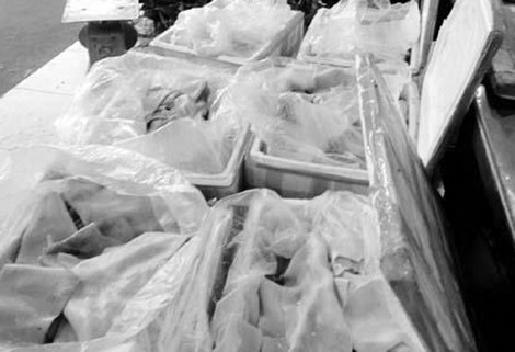 Những thùng thịt rừng được đóng đông lạnh chờ ngày giao cho khách.