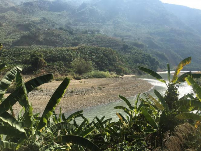 Các đồi chuối bạt ngàn ở miền biên viễn