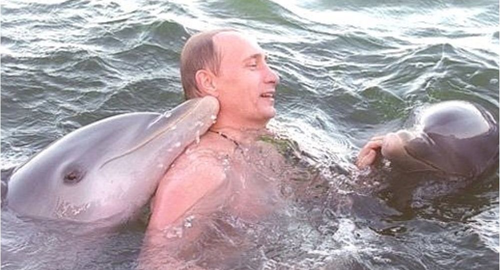 Ông Putin bơi cùng cá heo trong chuyến thăm Cuba năm 2000.