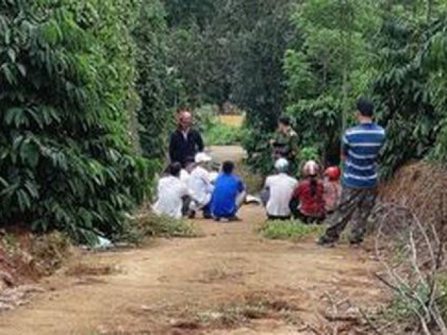 Pháp luật - Nghi án cha giết 2 con nhỏ rồi tự tử trong chòi rẫy