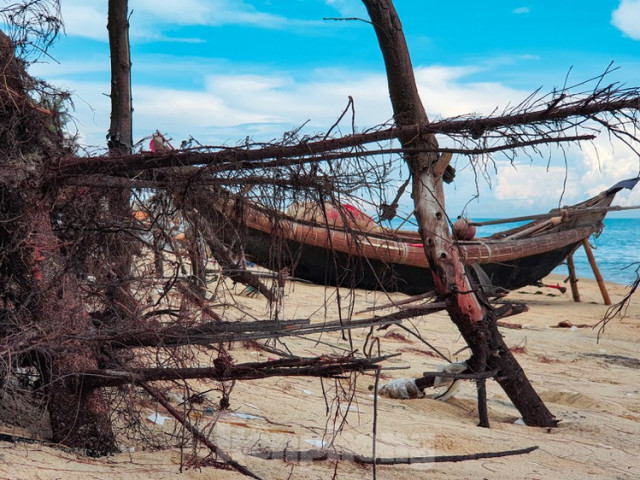Tin tức trong ngày - Bờ biển, rừng phòng hộ ở TT-Huế bị sóng dữ xé nát