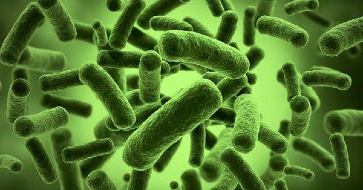 Sức khỏe đời sống - Phương pháp "kinh dị" giúp con người bất lão, trị bệnh nan y