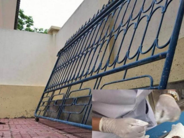 Tin tức trong ngày - Nguyên nhân sập cổng trường khiến 1 học sinh bị thương ở Nghệ An