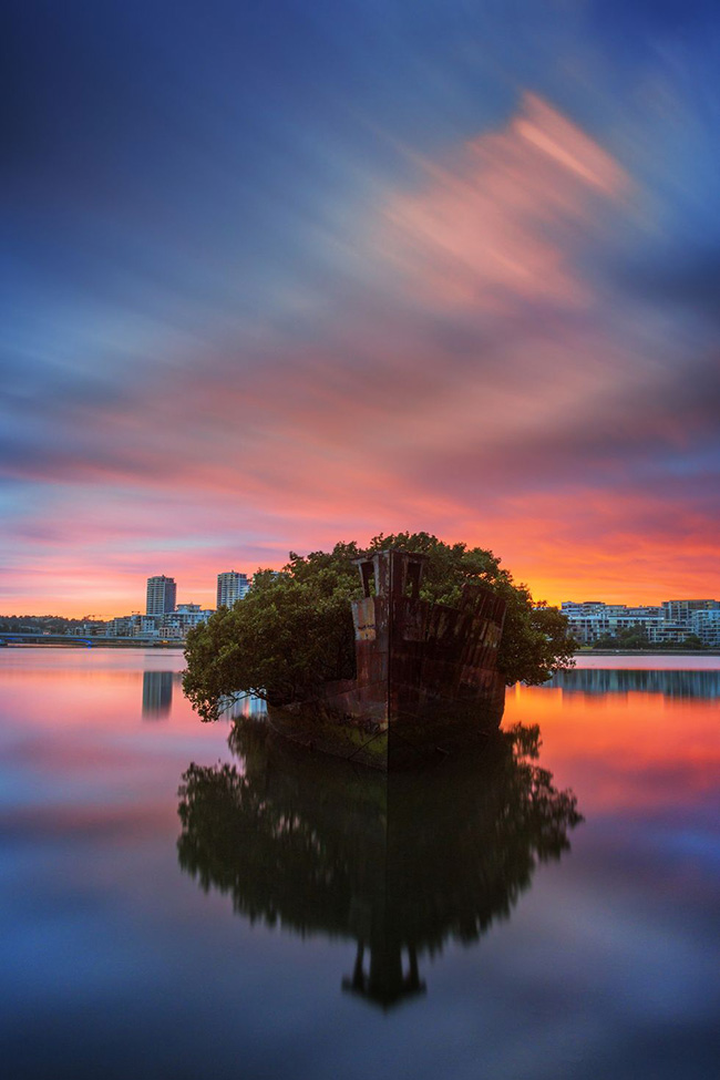 Rừng nổi, Australia: Tàu SS Ayrfield nằm trong một nghĩa địa tàu, nhưng nó là sự khác biệt duy nhất bởi có những cây đước xanh hùng vĩ đã mọc và che kín con tàu.
