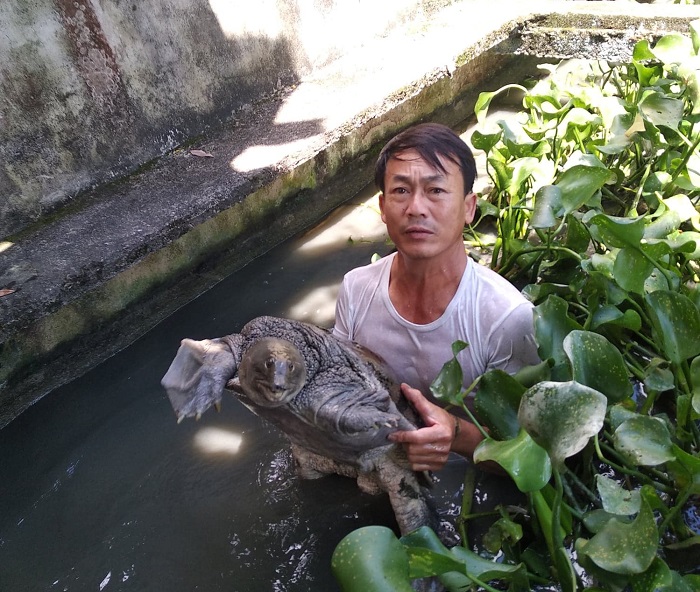 Ông Phan Ngọc Chiến bên ao baba của gia đình